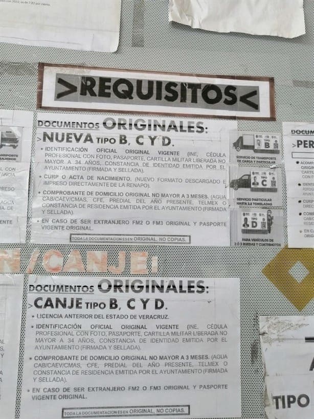 Licencia de conducir en Veracruz: precios y trámites actualizados