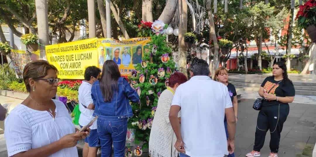 Colectivo Solecito retira el Árbol del Dolor en Veracruz