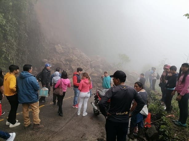 Se derrumba parte de un cerro a orilla de la carretera Misantla-Banderilla