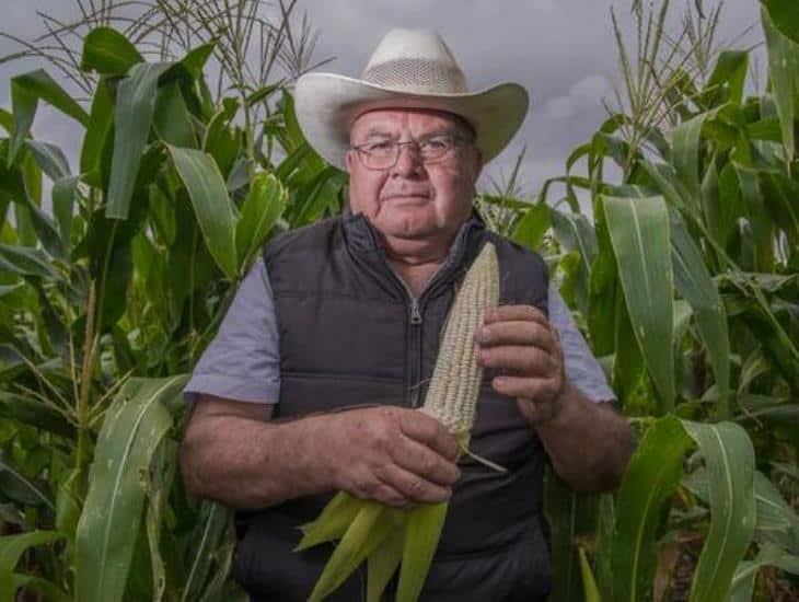 Más de 130 mil productores del campo recibieron apoyo del gobierno de México