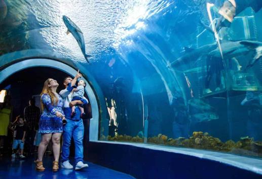 Aquarium de Veracruz dejó ingresos por 125 millones de pesos en 2023
