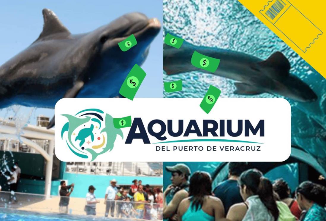 En 2023, más de 900 mil personas visitaron el Acuario de Veracruz