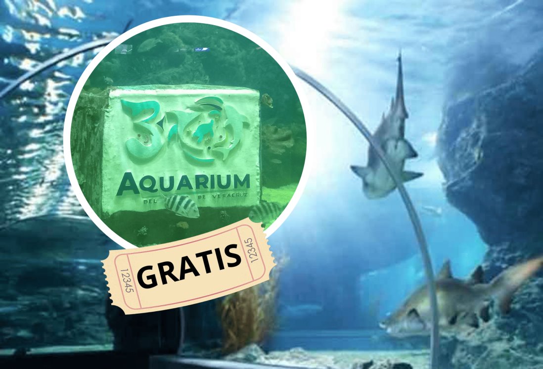 Acuario de Veracruz: este será el primer martes gratis del año