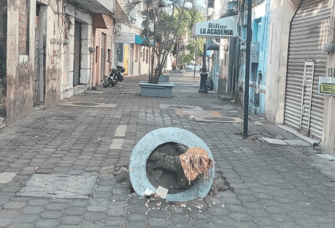 Vecinos denuncian árbol caído en callejón por Arista y Morales