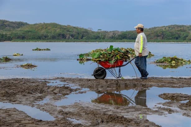 Construirán muelles en la Laguna de San Julián, en Veracruz