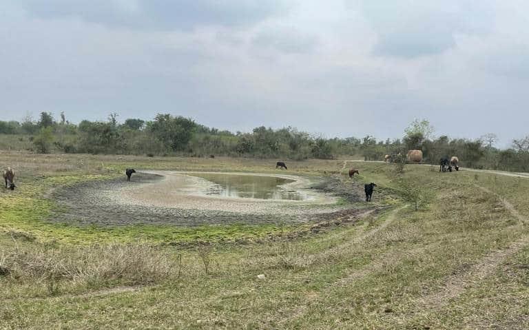 Veracruz inicia el 2024 con déficit de lluvias; se agrava el estiaje: Conagua