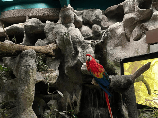 Acuario de Veracruz: primer martes gratis del año es un éxito