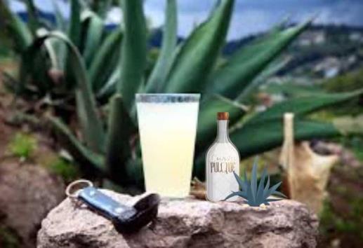 ¿Pulque podría desaparecer en Veracruz? Esto dicen los productores