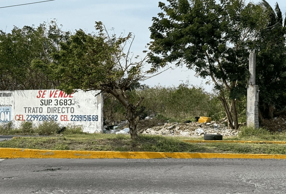 Terrenos baldíos son un peligro para la salud , denuncian vecinos de Los Pinos