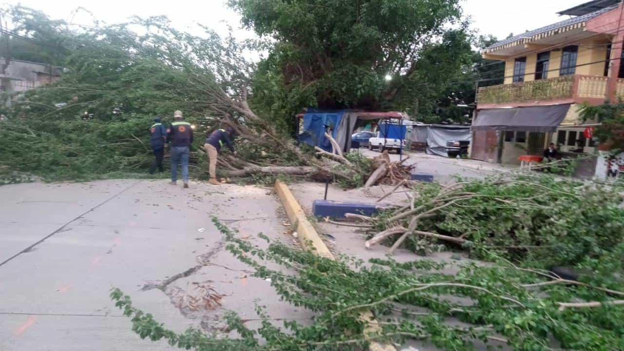 13 municipios de Veracruz fueron afectados por frente frío 25