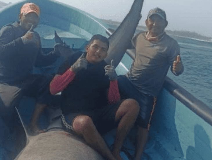 Pescadores de Tabasco atraparon un tiburón gigante; te decimos de que especie se trata