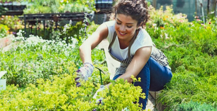 Las plantas y la salud mental