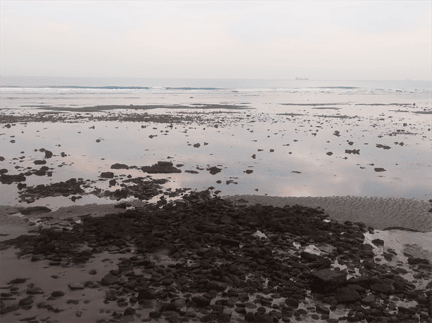 Sorprende bajo nivel del mar en playas de Boca del Río previo a evento de norte | FOTOS