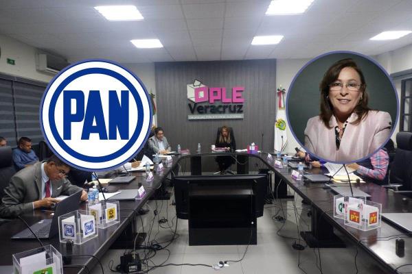 OPLE determina no aplicar medidas cautelares contra  Rocío Nahle por queja del PAN