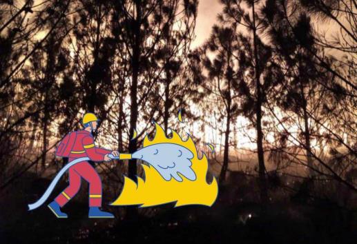 Incendio forestal en Perote afectó 1.8 hectáreas, reporta SPC