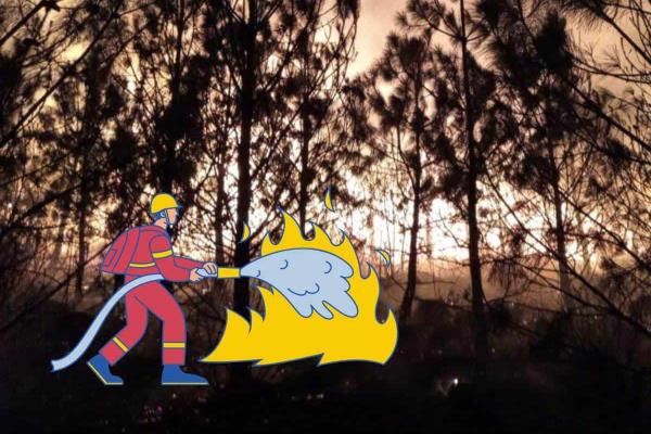 Incendio forestal en Perote afectó 1.8 hectáreas, reporta SPC