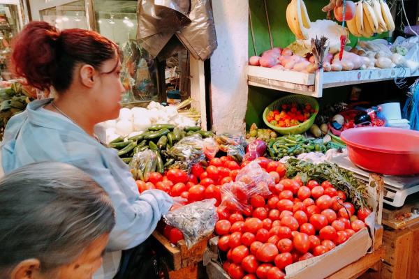 ¡Canasta básica, por las nubes! En Xalapa, frutas y verduras inician el año con incrementos