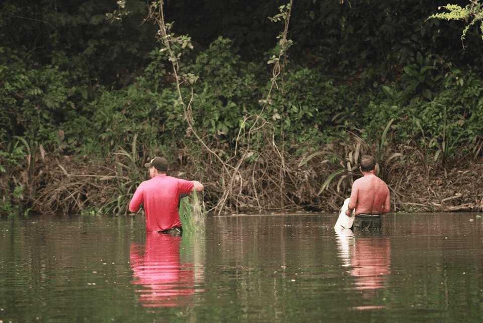 Pescadores preocupados por muerte masiva de peces en Catemaco