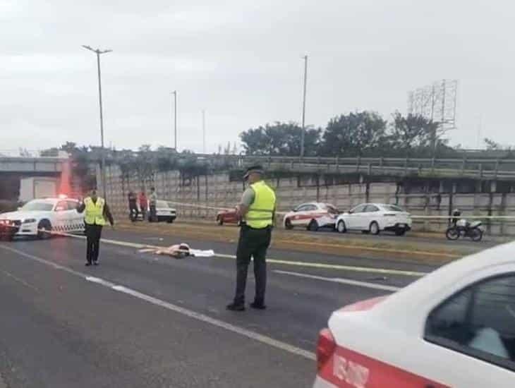 Motociclista pierde la vida en accidente en carretera Xalapa - Veracruz