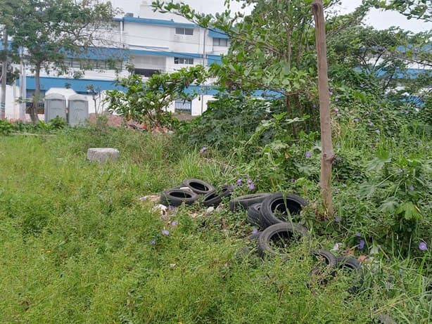 Se quejan de lote baldío lleno de llantas en Veracruz; temen por el dengue