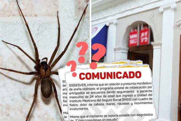 Sí fue una araña violinista: desmiente a SESVER madre de empleado de Miniso