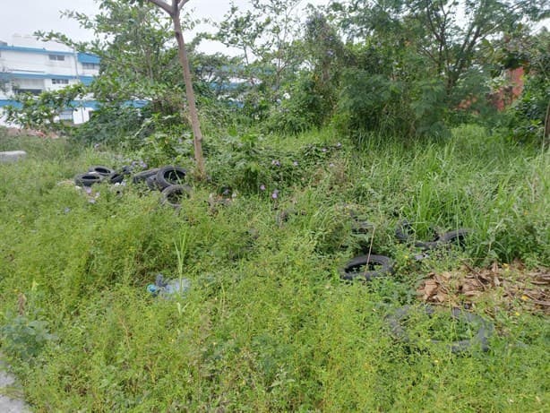 Se quejan de lote baldío lleno de llantas en Veracruz; temen por el dengue