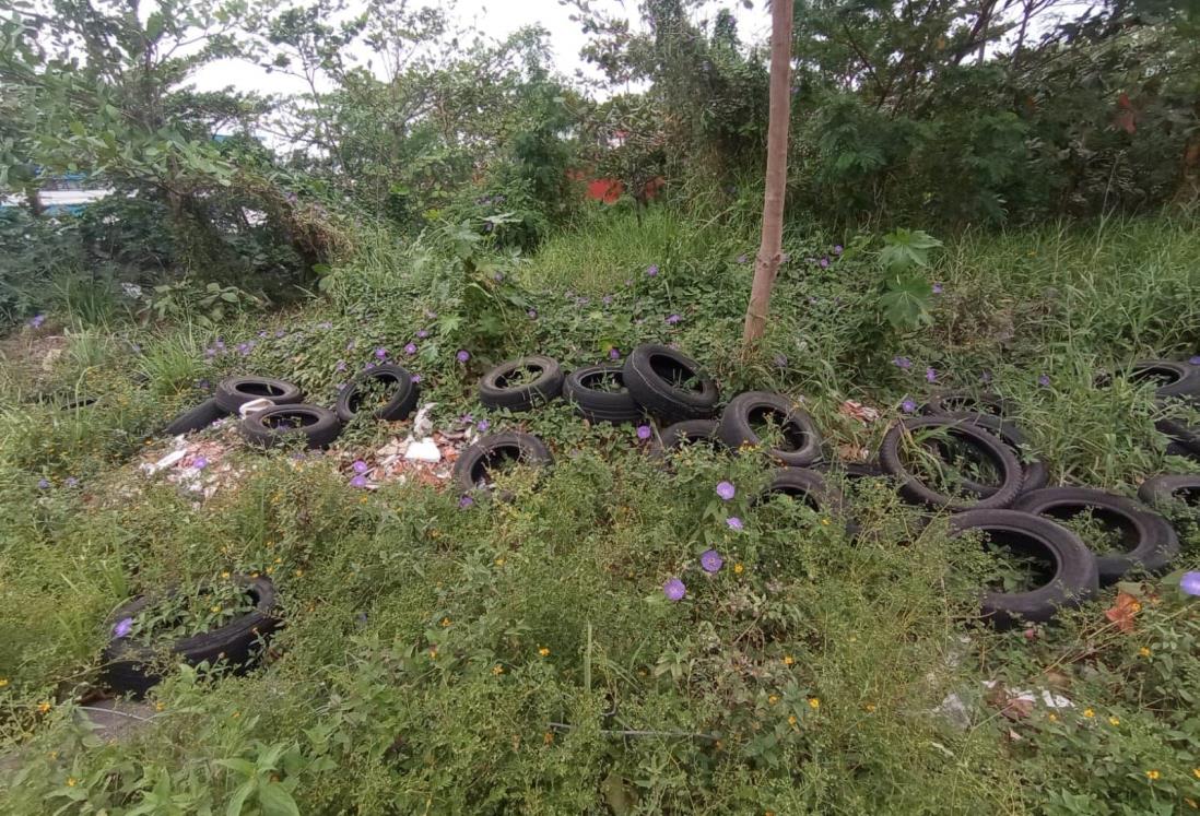 Se quejan de lote baldío lleno de llantas en Veracruz; temen por el dengue