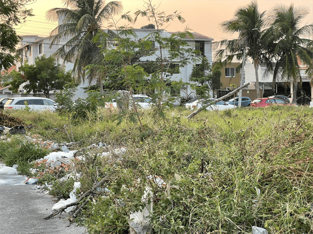 Vecinos de Jardines de Virginia denuncian tiradero de desechos en lote baldío