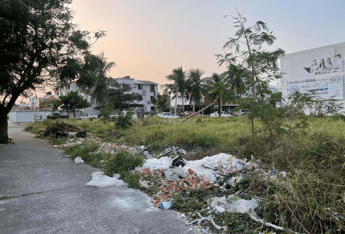 Vecinos de Jardines de Virginia denuncian tiradero de desechos en lote baldío