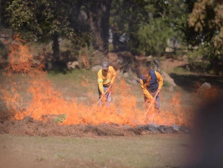 En 2023 bajaron los incendios forestales en Veracruz