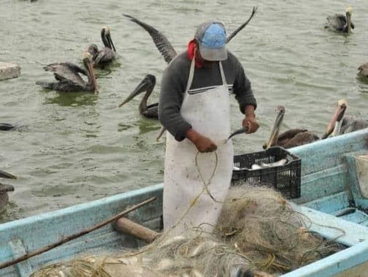 Pescadores de Veracruz buscan otras alternativas para poder ganar recursos