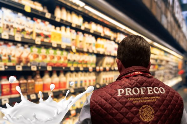Investigación de Profeco destaca las mejores marcas de leche 2024