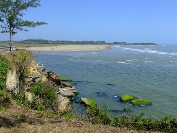 Estas playas de Veracruz son designadas como santuarios protegidos