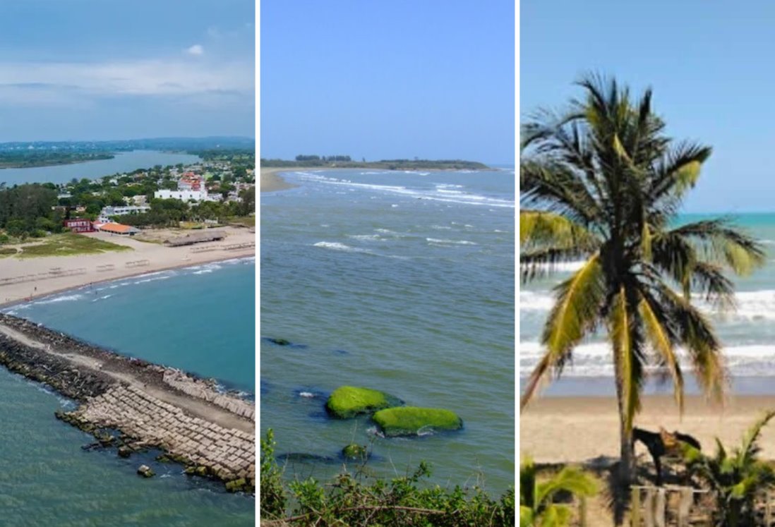 Estas playas de Veracruz son designadas como santuarios protegidos