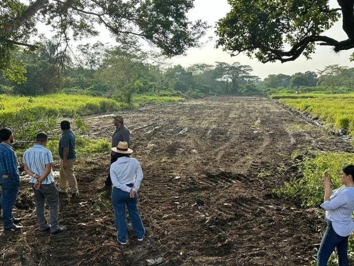 Construirán el nuevo Anfiteatro Regional en Acayucan ¿dónde se ubicará?