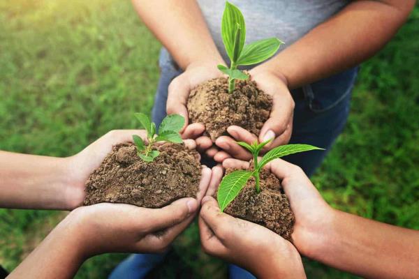 Derecho y deber de la participación ambiental