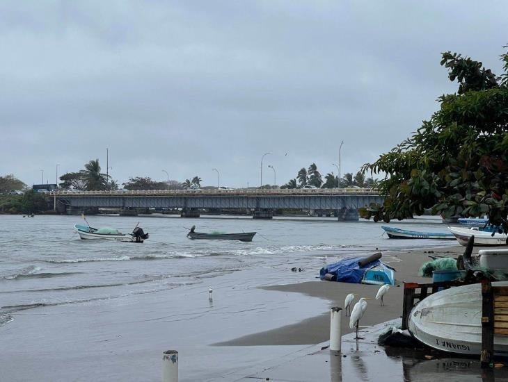 Falta de dragado desaparece los peces del río Jamapa