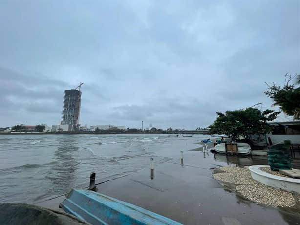 Falta de dragado desaparece los peces del río Jamapa