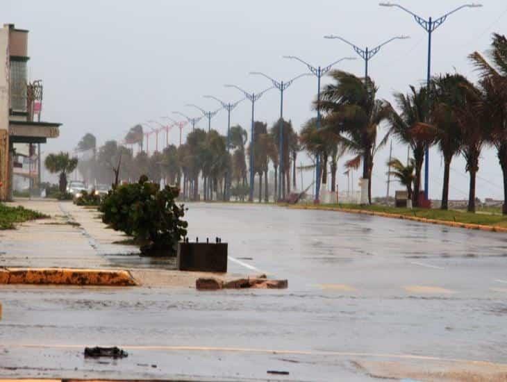 Frente Frío 30: así serán las temperaturas extremas que impactarán a México