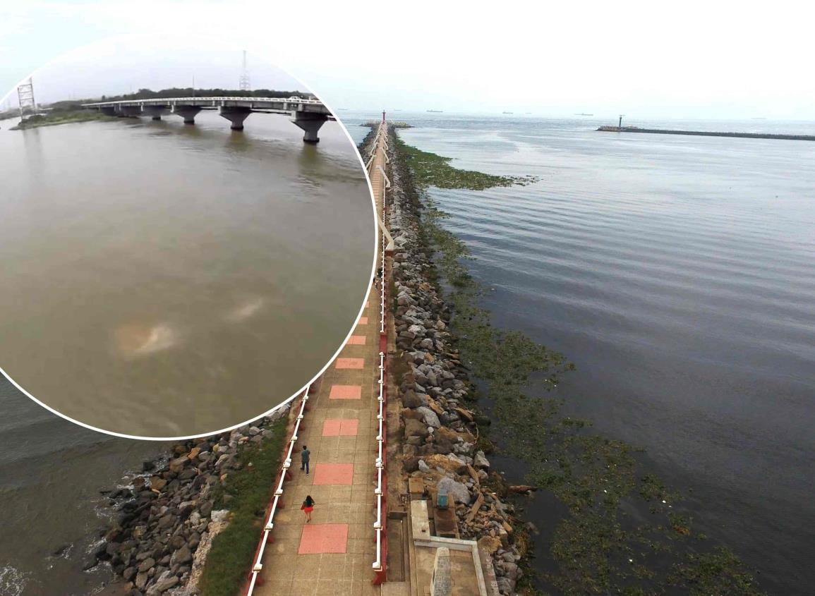 Extraña criatura en el río Coatzacoalcos, el VIDEO que fue furor hace años