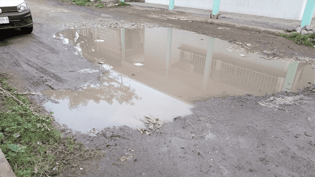 Vecinos de las Amapolas denuncian “enormes” charcos de agua en las calles