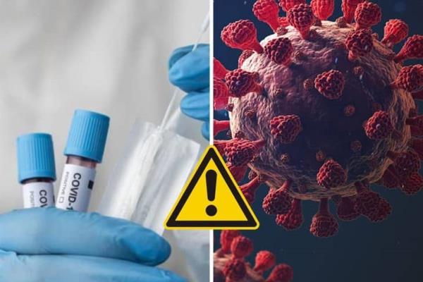 Pirola, por esta razón la nueva variante de Covid 19 afecta más a los pulmones