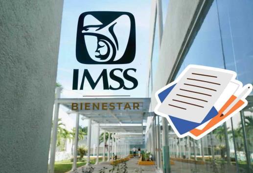 IMSS-Bienestar: estos son los requisitos para tramitar tu credencial