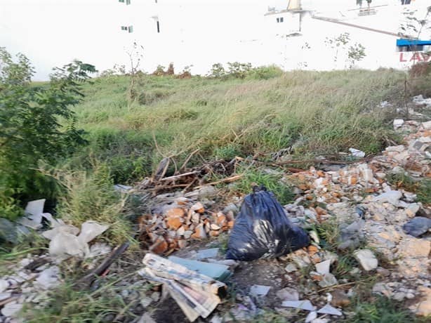 Vuelven basurero terreno en Jardines de Virginia, en Boca del Río