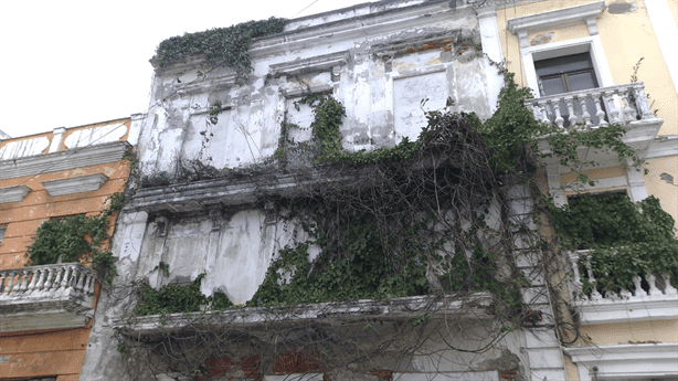 Enredaderas de edificio abandonado en 5 de Mayo pone en peligro a transeúntes de Veracruz