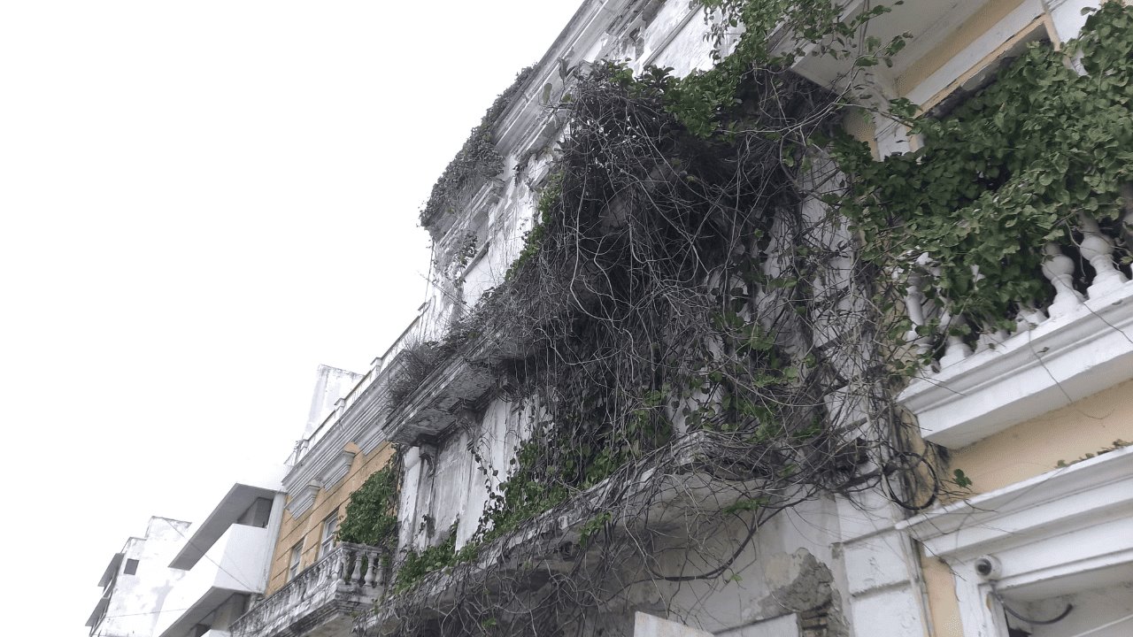 Enredaderas de edificio abandonado en 5 de Mayo pone en peligro a transeúntes de Veracruz