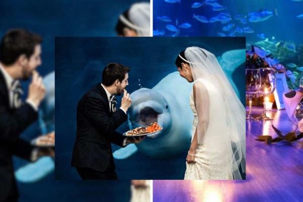 Preparan bodas colectivas en el Aquarium de Veracruz  Cásate a la veracruzana