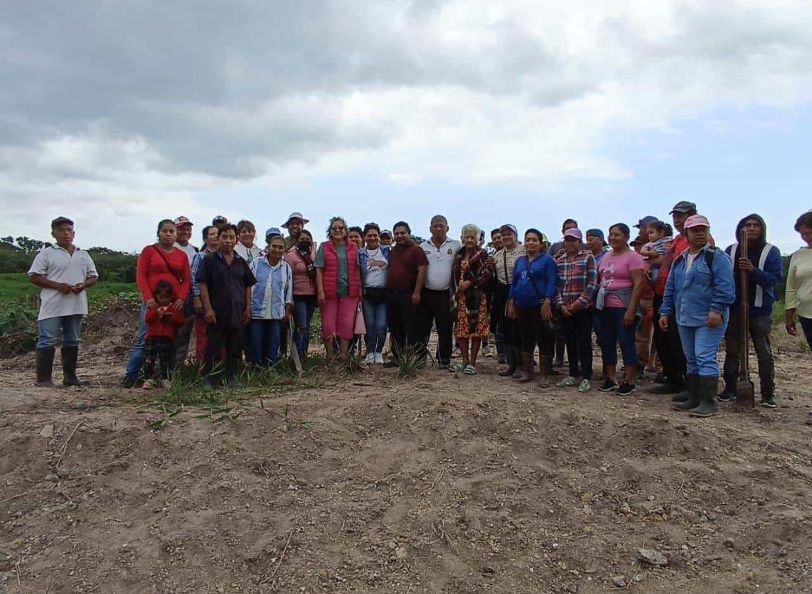 Jornada de reforestación por un mejor medio ambiente en Texistepec