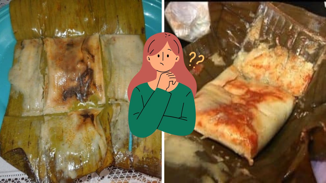 ¿Cuál es la diferencia entre tamales oaxaqueños y veracruzanos?