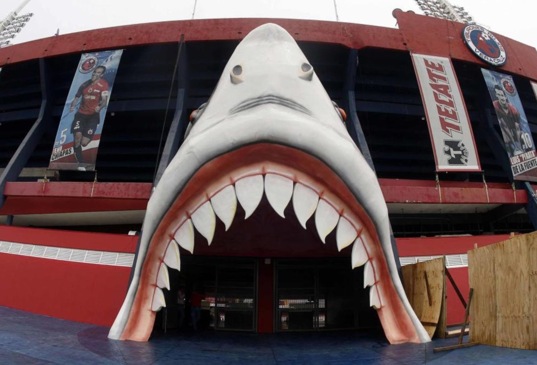 Estos grandes futbolistas portaron con orgullo la camiseta de los Tiburones Rojos de Veracruz